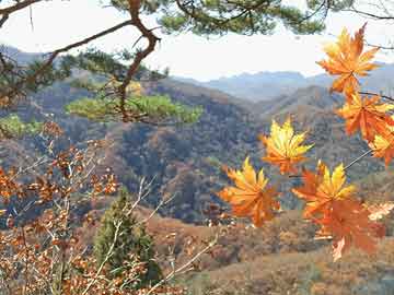 售米非司酮片包邮巴菲特淡化近期市场波动：属投资常态 “根本不算什么”