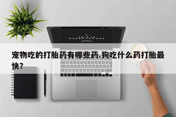 售米非司酮片包邮宠物吃的打胎药有哪些药.狗吃什么药打胎最快？