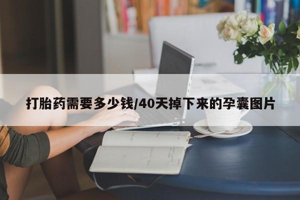 售米非司酮片包邮打胎药需要多少钱/40天掉下来的孕囊图片