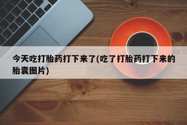 售米非司酮片包邮今天吃打胎药打下来了(吃了打胎药打下来的胎囊图片)